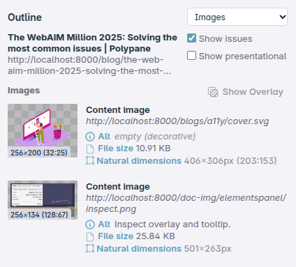 Inspecting an image in the Outline panel