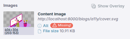 Inspecting an image with a missing alt attribute in the Outline panel