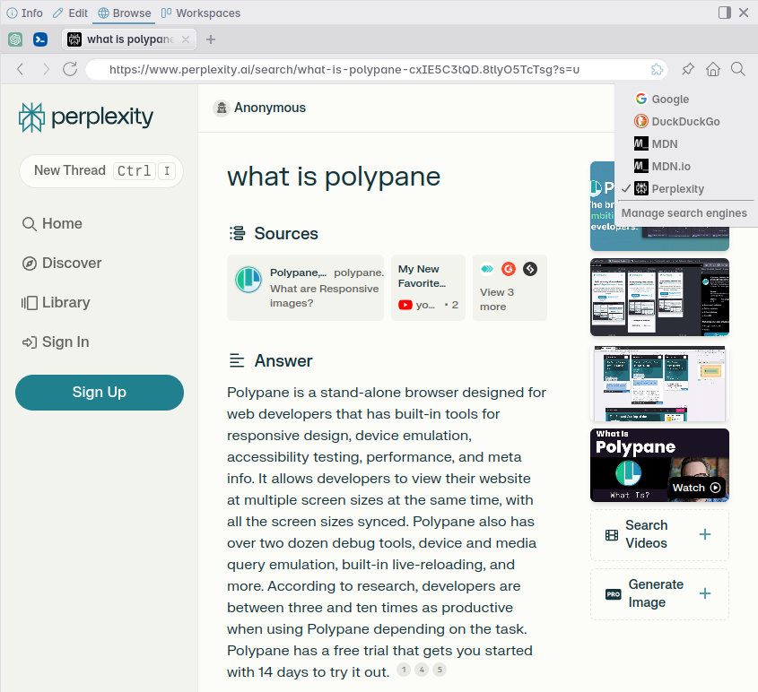Browse panel showing a perplexity search page