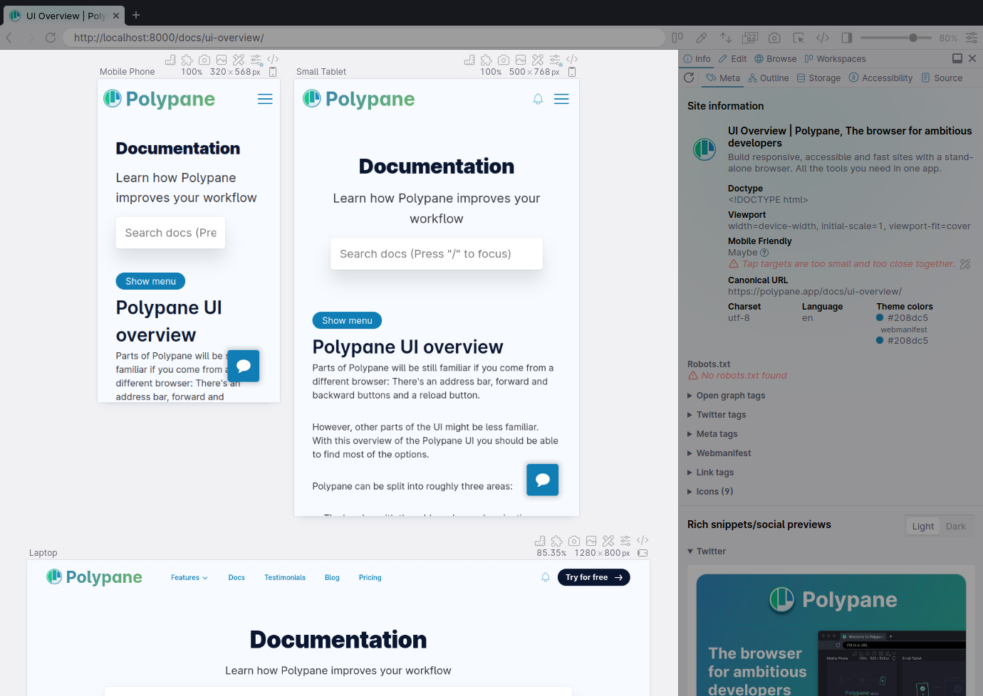 Polypane workspace